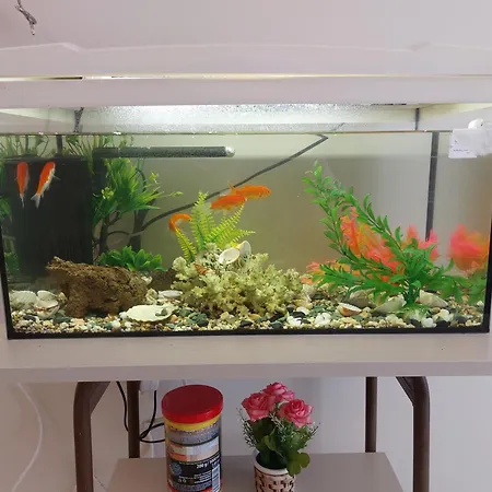 Ferienwohnung Aquarium House Kalambaka Exterior foto