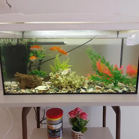 Ferienwohnung Aquarium House Kalambaka Exterior foto