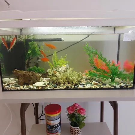 Ferienwohnung Aquarium House Kalambaka Exterior foto