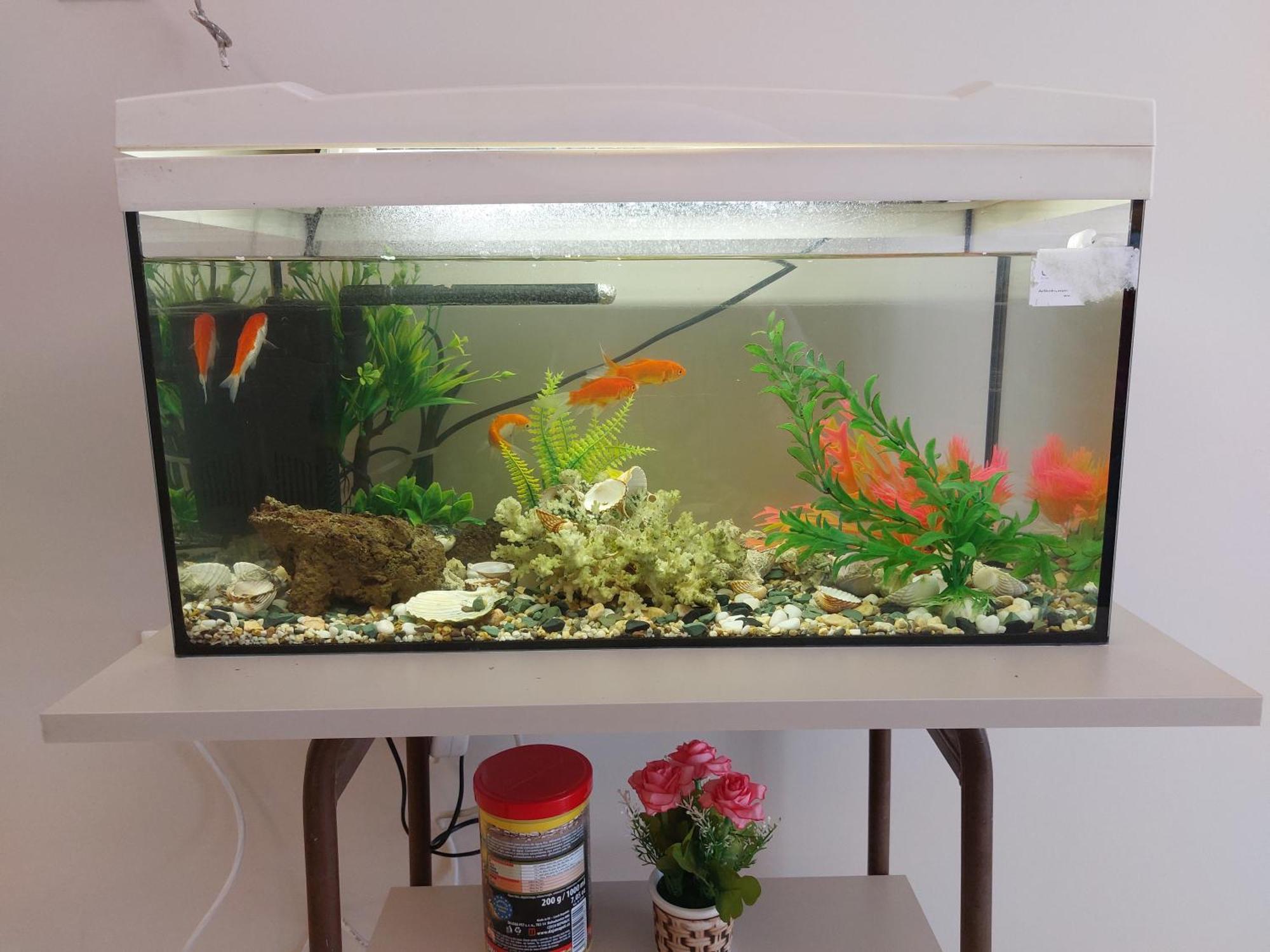 Apartment Aquarium House Kalambaka