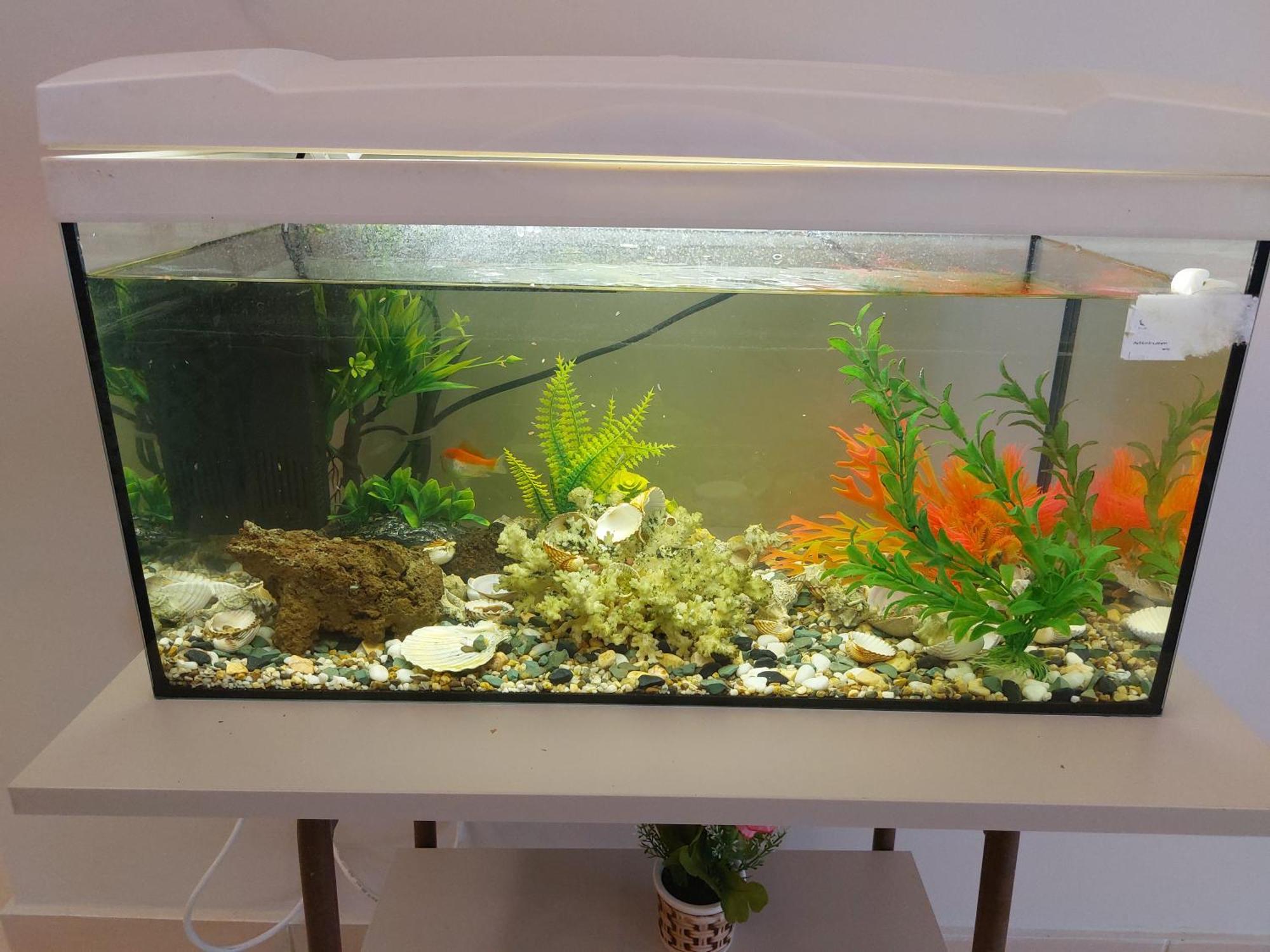 Apartment Aquarium House