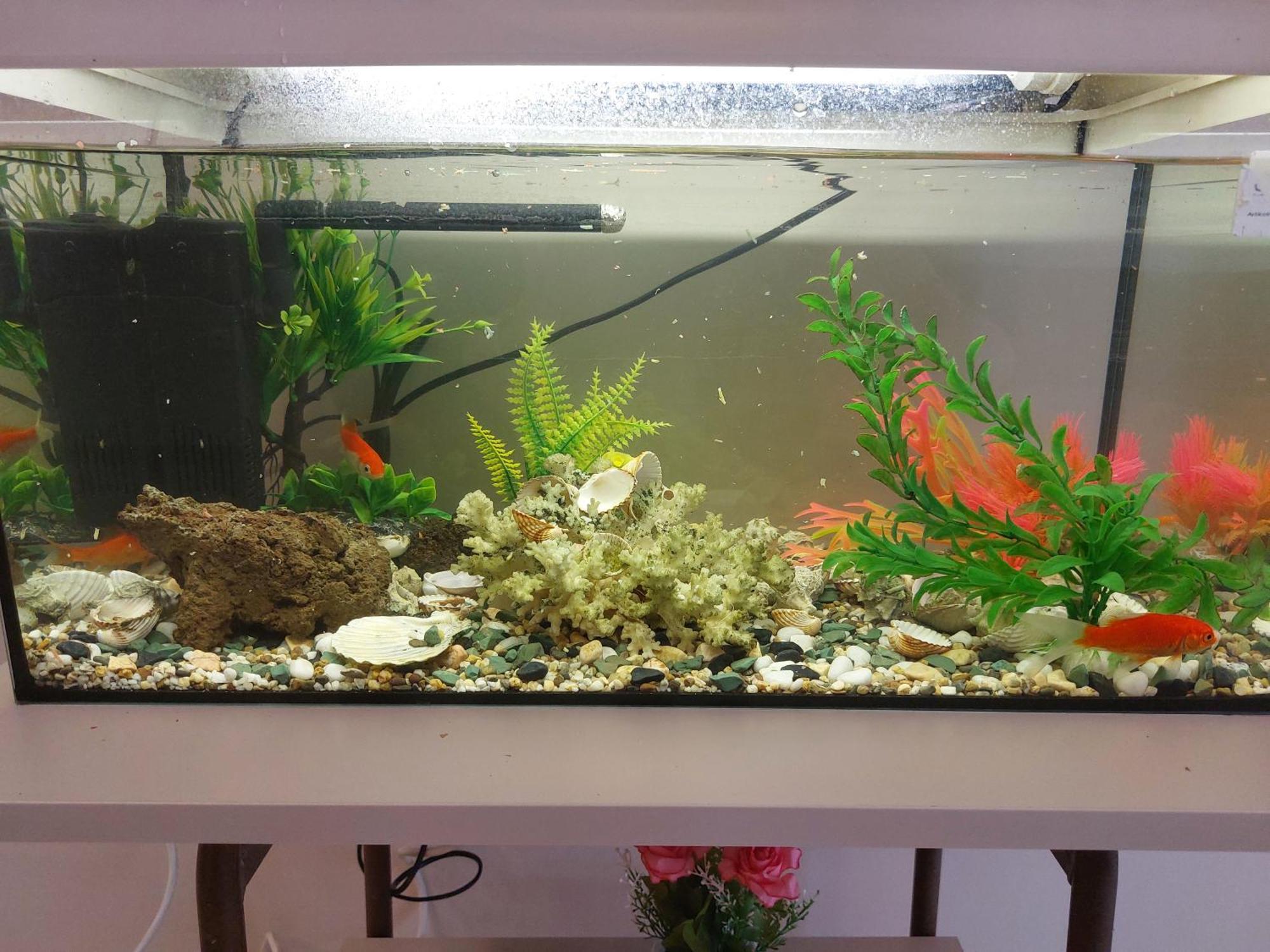 Aquarium House Apartment *