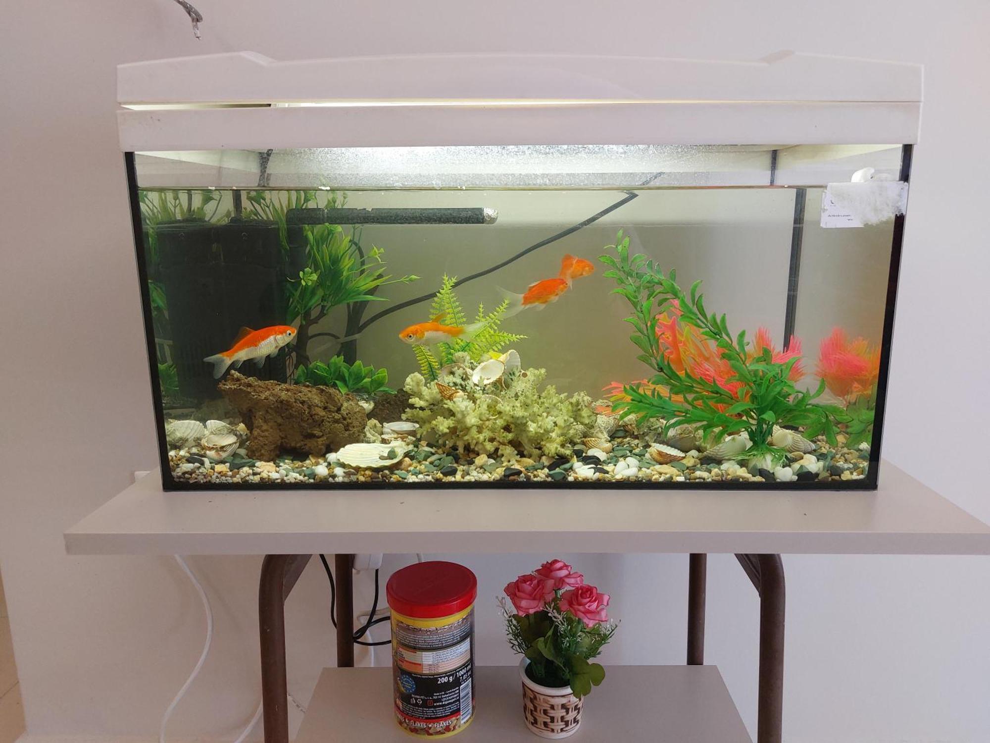 Aquarium House Apartment *