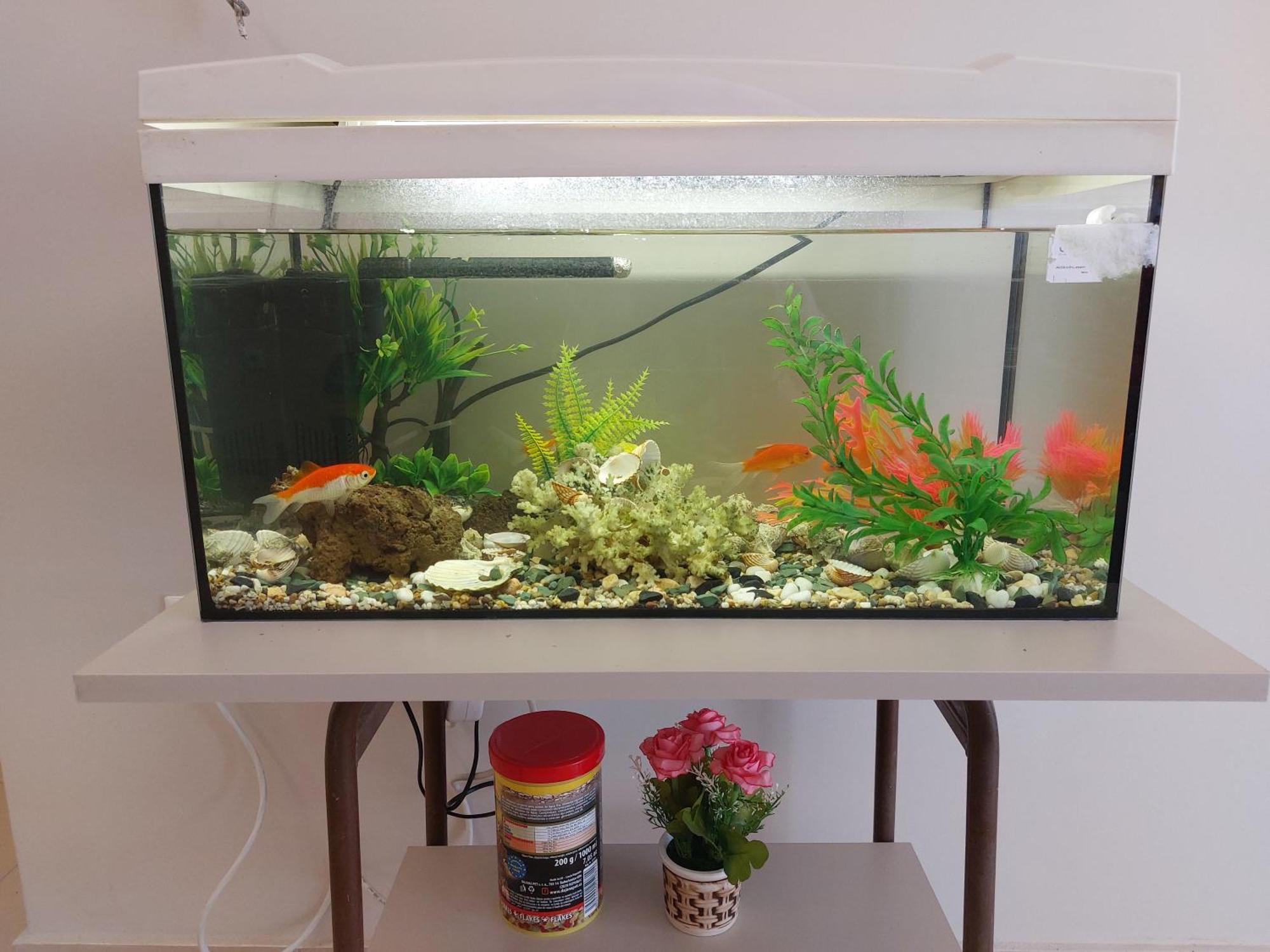 Apartment Aquarium House *