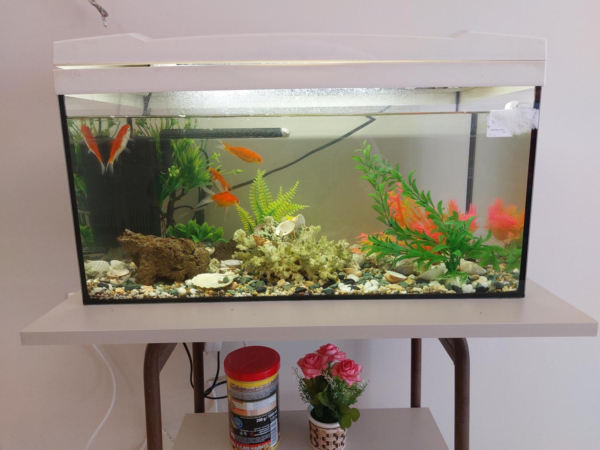 Aquarium House Apartment Kalambaka