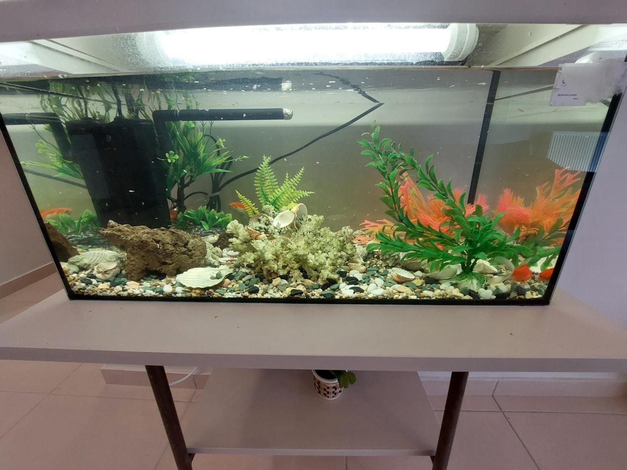 Apartment Aquarium House *